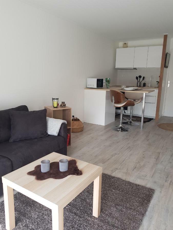 Laurier Apartment Toulouse Exterior photo
